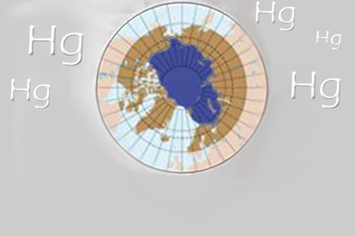 Grafik_Teaser_21_Arctic_Mercury_Cycling