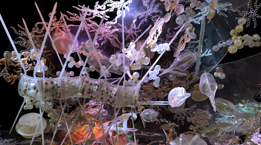 Img Sb 860x480