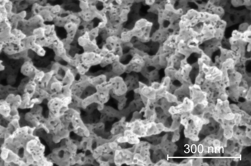 Palladium Pnas