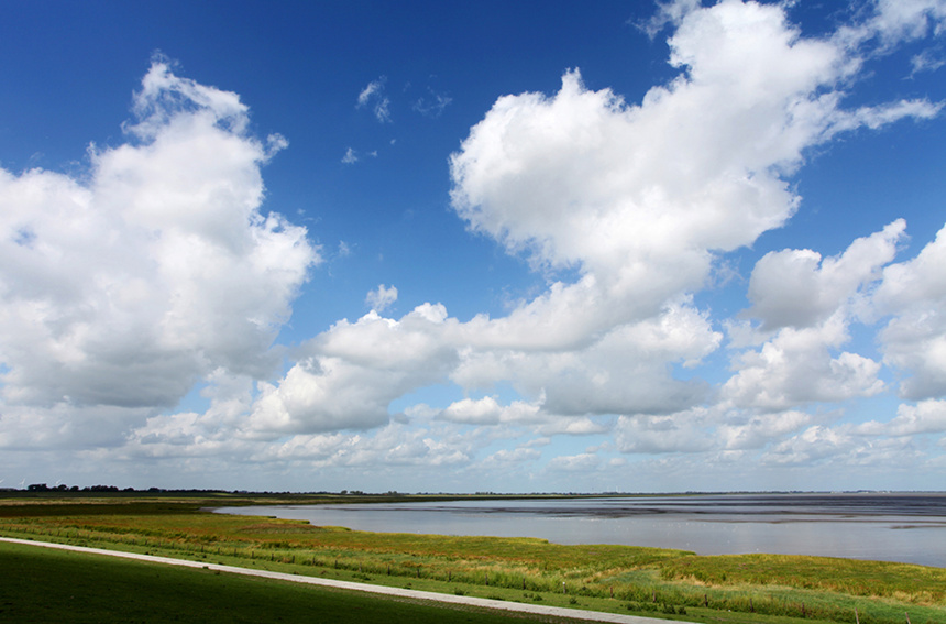 Landschaft