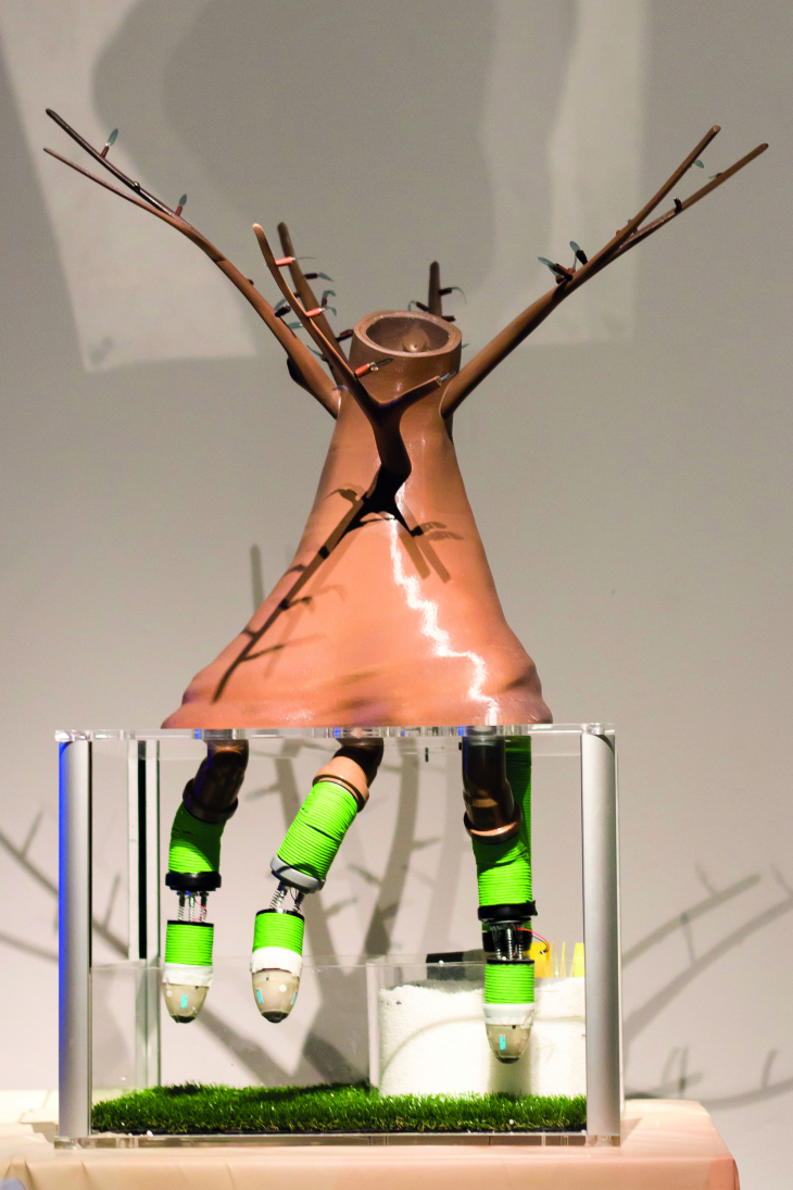 Die Wissenschaftler am IIT haben einen Plantoiden entwickelt, also einen Roboter, der wie eine Pflanze wirkt und wächst. Er dient der Untersuchung biologischer und technologischer Fragen.
Foto: Duilio Farina/ llT Der Plantoiden, der wie eine Pflanze wirkt und wächst.