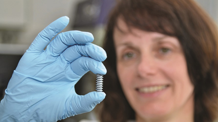 Prof Dr Regine Willumeit-Römer