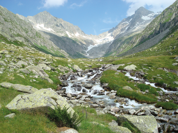 At the spring and in the upper reaches, the water is usually still clean and free of pollutants. Photo: Hereon/ Jana Friedrich Mountain spring